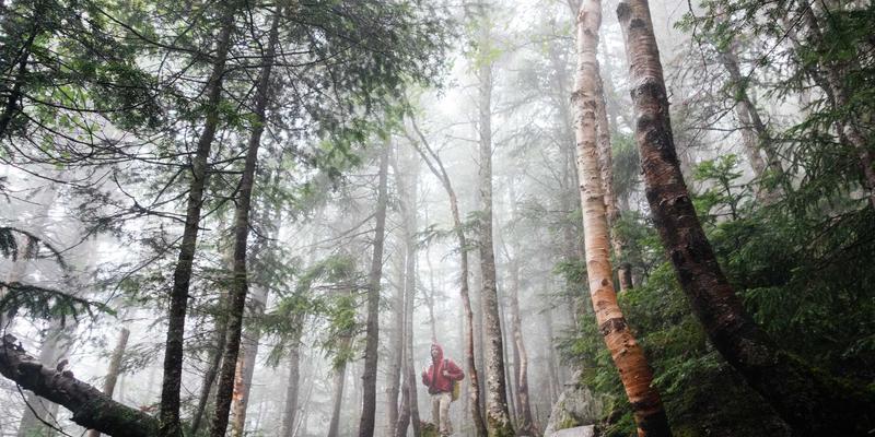 Why Choose a Honda Dealer in Lisbon for Used Cars, Parts & Service