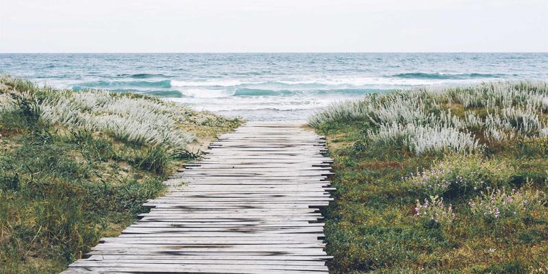 从Honda Dealer到Honda Service Center：您的全方位进阶保养指南