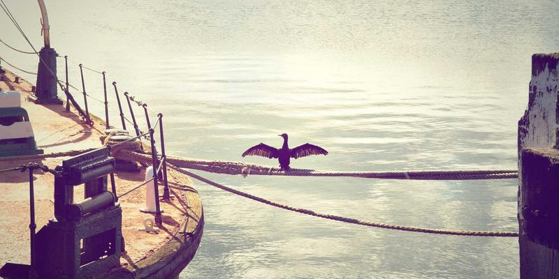 本田经销商专业轮胎服务全解析：从精准选型到完美动平衡，为您的爱车保驾护航