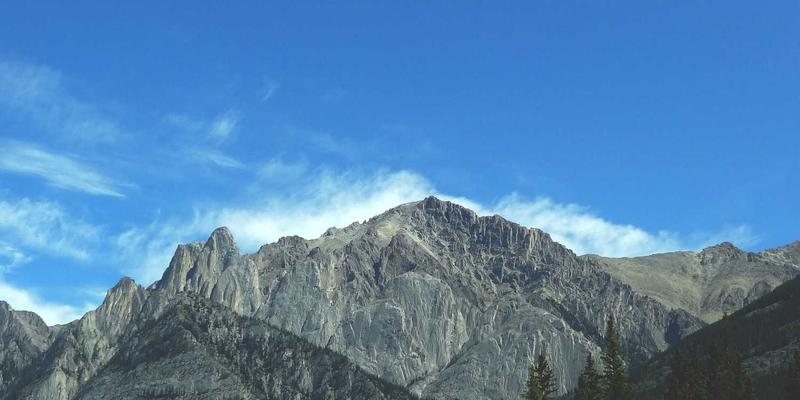 里斯本Honda经销商:您的一站式购车与专业维保解决方案