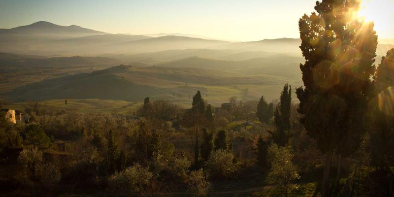 里斯本商务接待用车新选择：本田经销商的企业租赁方案与专业维护保障