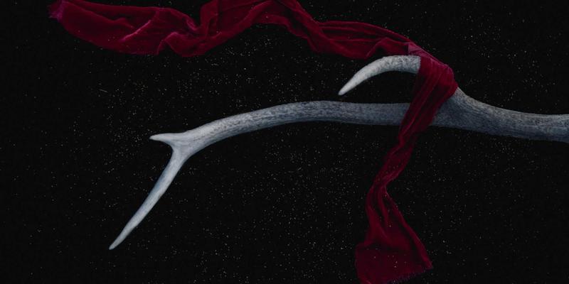 里斯本本田经销商个性化定制指南：如何通过专业服务打造专属座驾