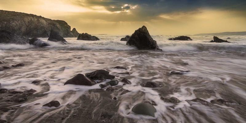 里斯本本田经销商：从试驾到交付的全流程贴心服务指南