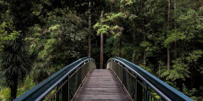 里斯本本田经销商冬季特别服务：专为葡萄牙气候设计的车辆检查与保养套餐