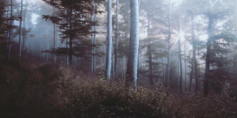 里斯本本田经销商：如何利用先进车辆诊断技术提前发现二手车潜在故障