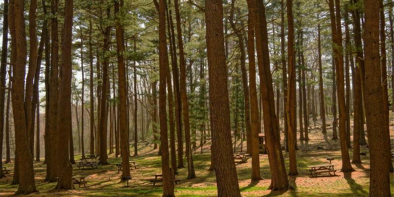 里斯本本田经销商如何运用先进诊断技术快速精准定位车辆故障