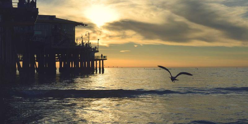 里斯本本田经销商车辆年检全攻略：从预约到通过的一站式指南