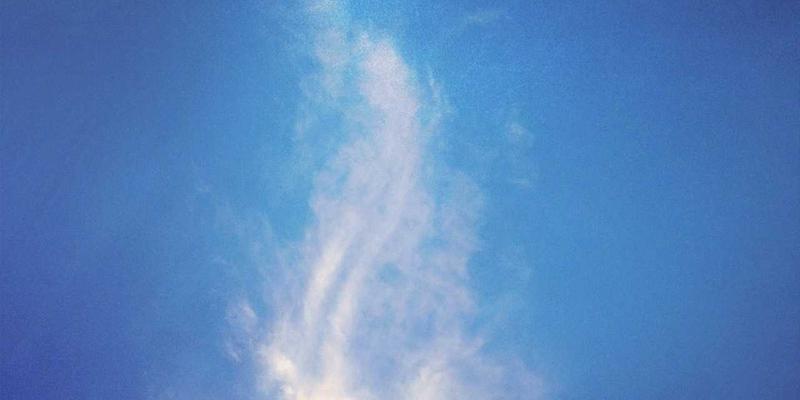 里斯本本田经销商金融方案深度解析：低利率贷款与灵活租赁哪种更适合您？