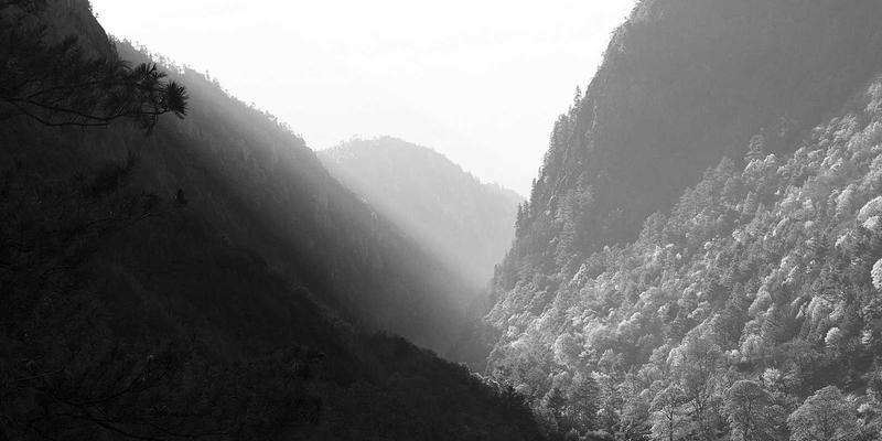 里斯本本田车主必读：经销商免费车辆健康检查全项目详解 | Honda Dealer专业维护指南