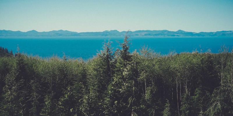 里斯本购车指南：揭秘本田经销商定价策略与谈判技巧，兼顾Honda维护成本